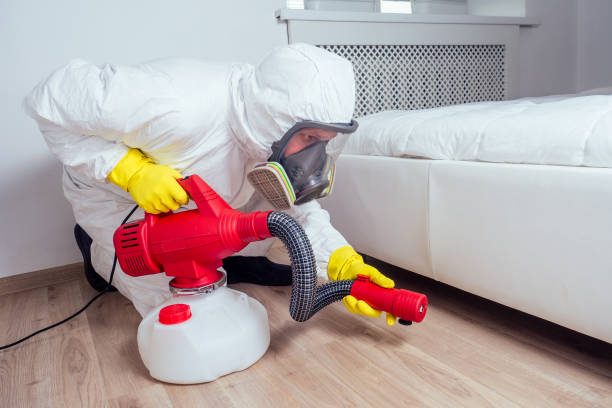 Real Estate Pest Inspections in Meadowlakes, TX